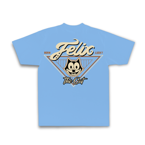 FELIX TRIANGLE